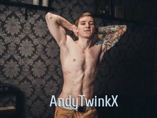AndyTwinkX