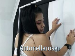 Antonellarosen
