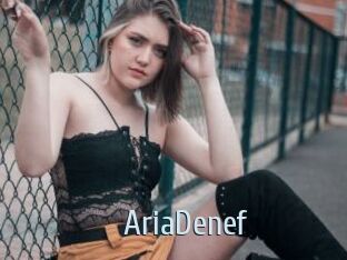 AriaDenef