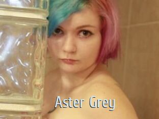 Aster_Grey
