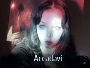 Accadavi