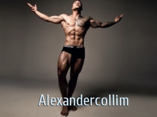 alexandercollim Ta Model