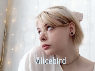 Alicebird