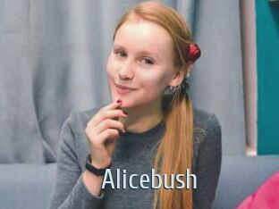 Alicebush