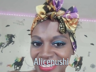 alicepushi Ta Model
