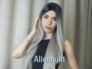 Alicequin