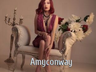 Amyconway
