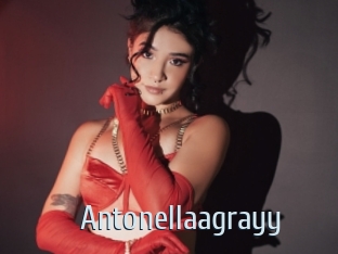 Antonellaagrayy