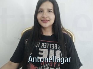 Antonellagar