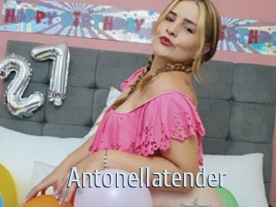 Antonellatender