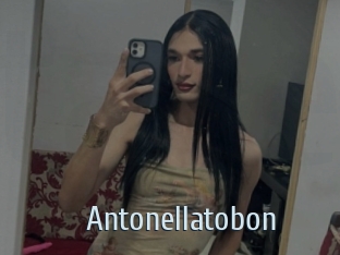 Antonellatobon