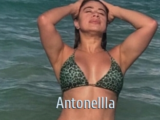 Antonellla