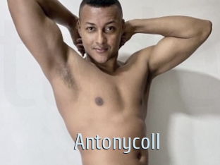 antonycoll Ta Model