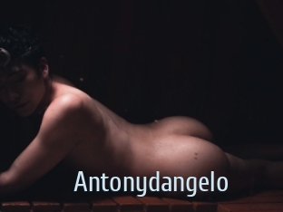 antonydangelo Ta Model