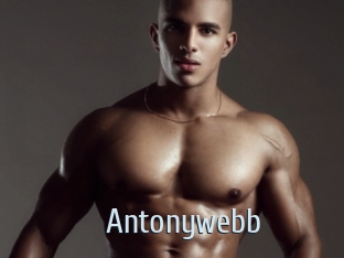 Antonywebb