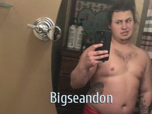 Bigseandon