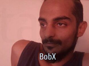 BobX