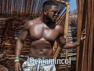 benjamincol Ta Model