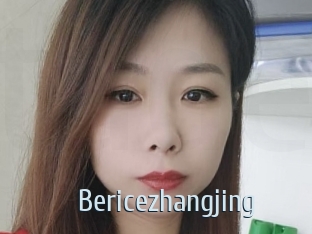 Bericezhangjing