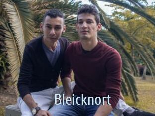 Bleicknort