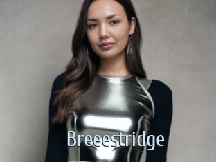 Breeestridge