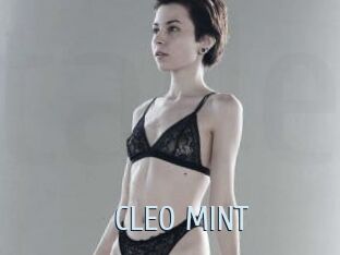 CLEO_MINT