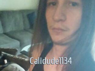 Calidude1134