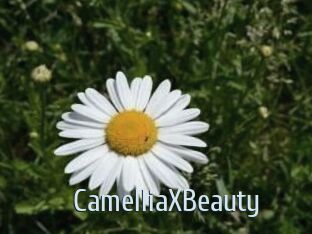 Camellia_XBeauty