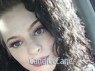 Candice_Cane