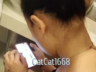 CatCat1668