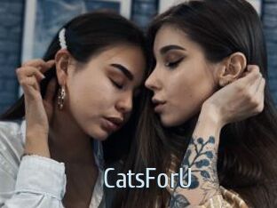 CatsForU