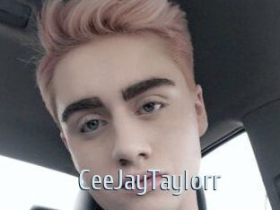 CeeJayTaylorr