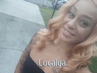 Cocaiya