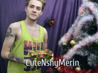 CuteNshyMerin