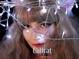 Calicat