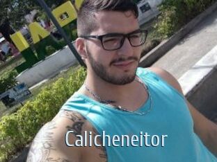 Calicheneitor