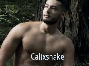 Calixsnake