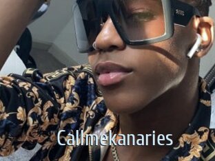 Callmekanaries