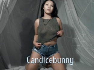Candicebunny