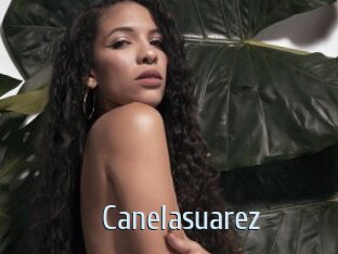 Canelasuarez