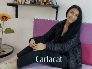 Carlacat