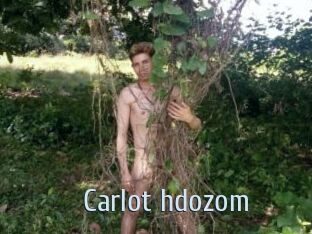 Carlot_hdozom
