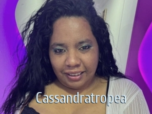 Cassandratropea