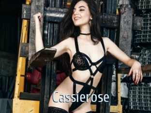 Cassierose