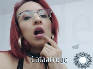 Cataarroyo