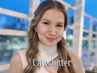 Cateclutter