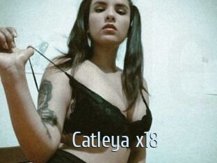 Catleya_x18