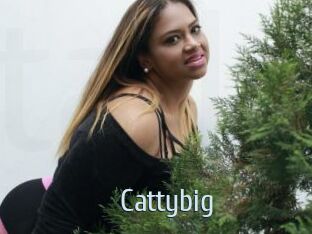 Cattybig