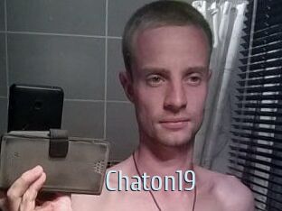 Chaton19