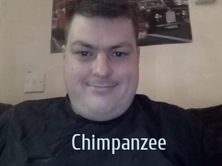 Chimpanzee